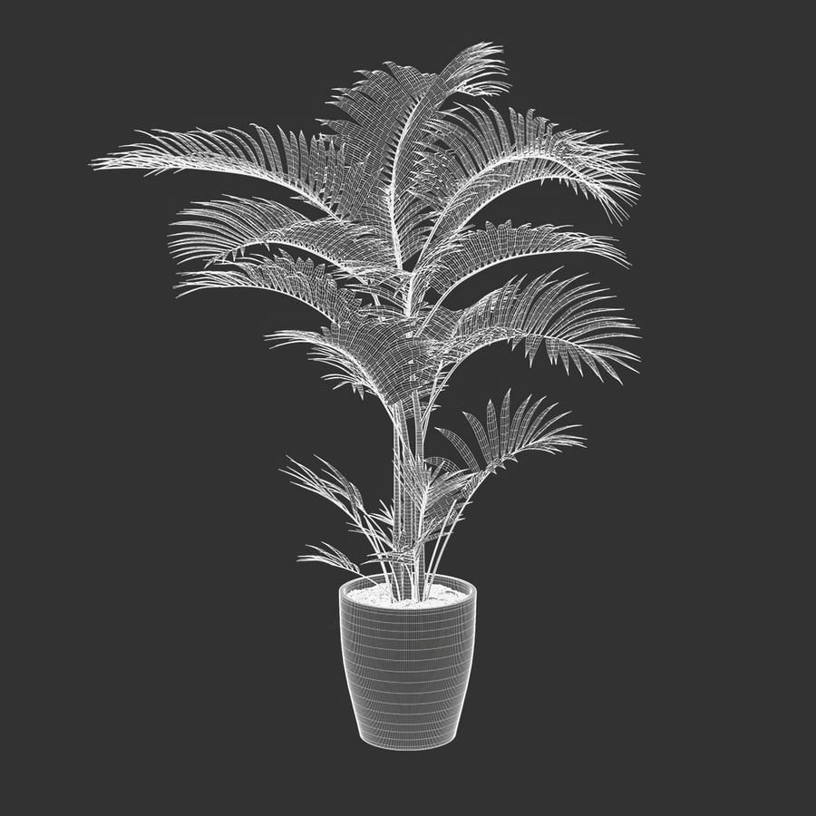 Model rośliny doniczkowej Parlor Palm