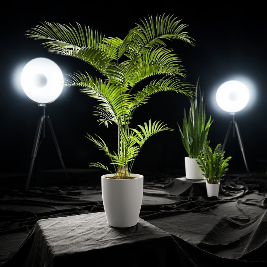 Model rośliny doniczkowej Parlor Palm