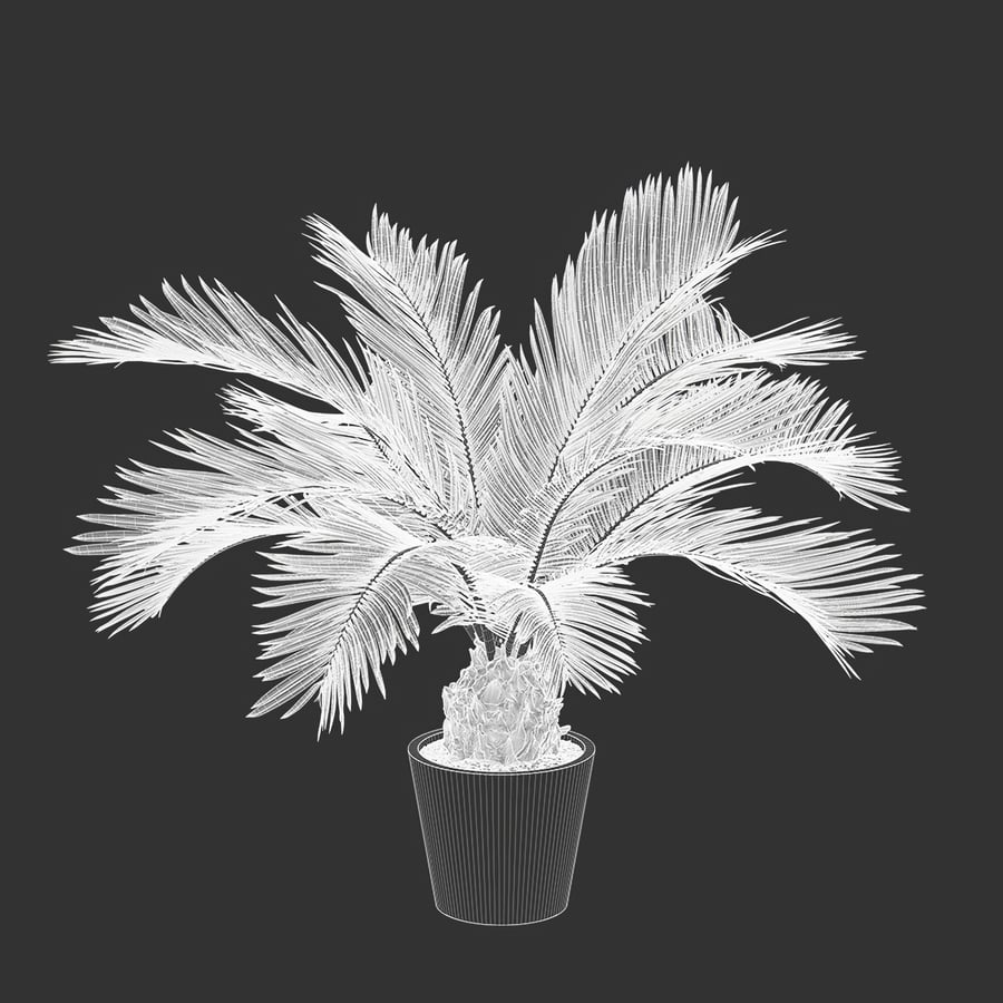 Model rośliny doniczkowej Sago Palm