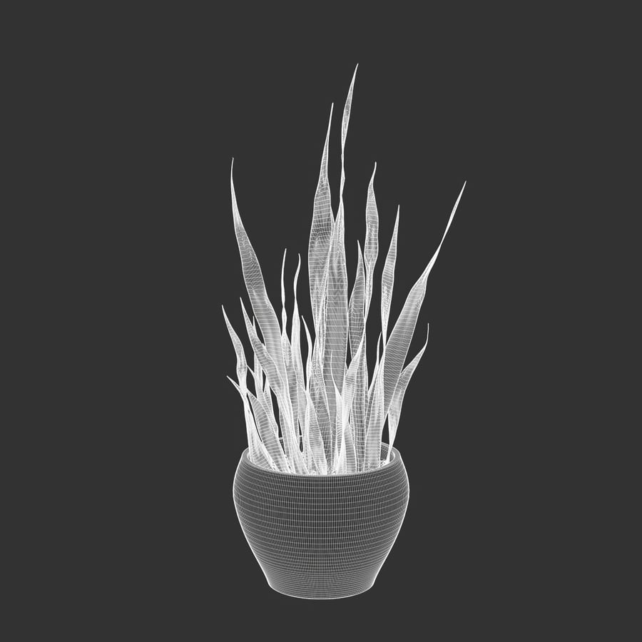Model rośliny doniczkowej Snake Plant