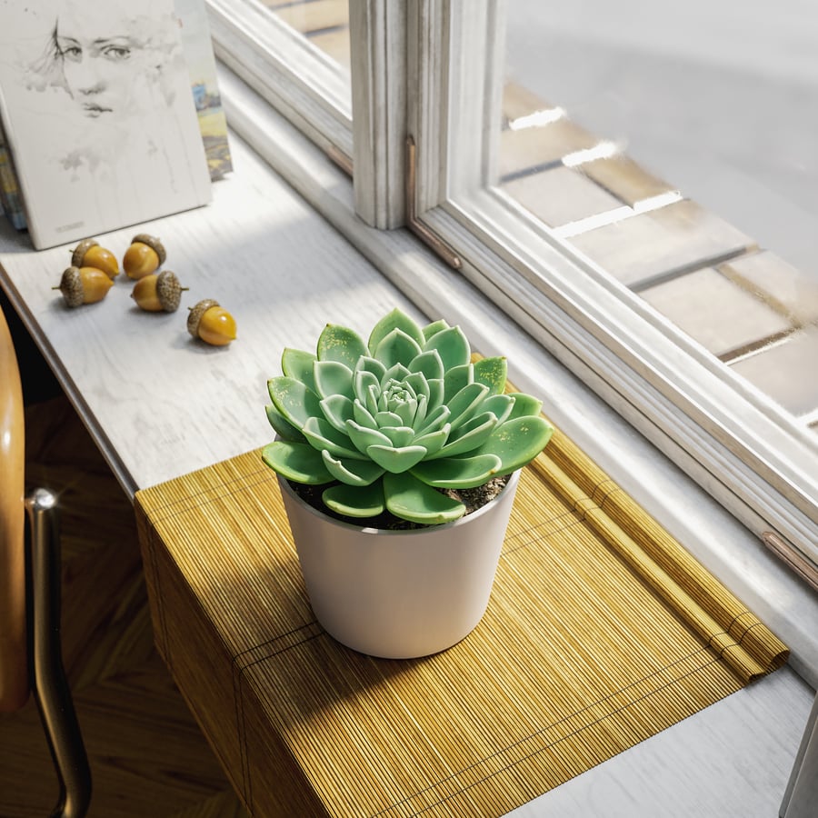 Model soczystej rośliny doniczkowej Echeveria, zielony