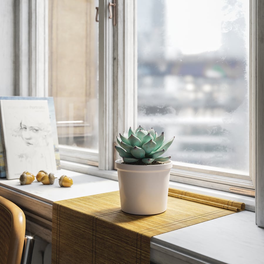 Echeveria Tippy Succulent Model rośliny doniczkowej