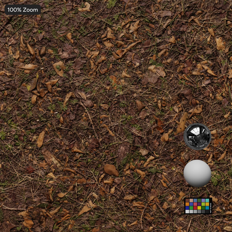 Weeds and Debris Forest Texture