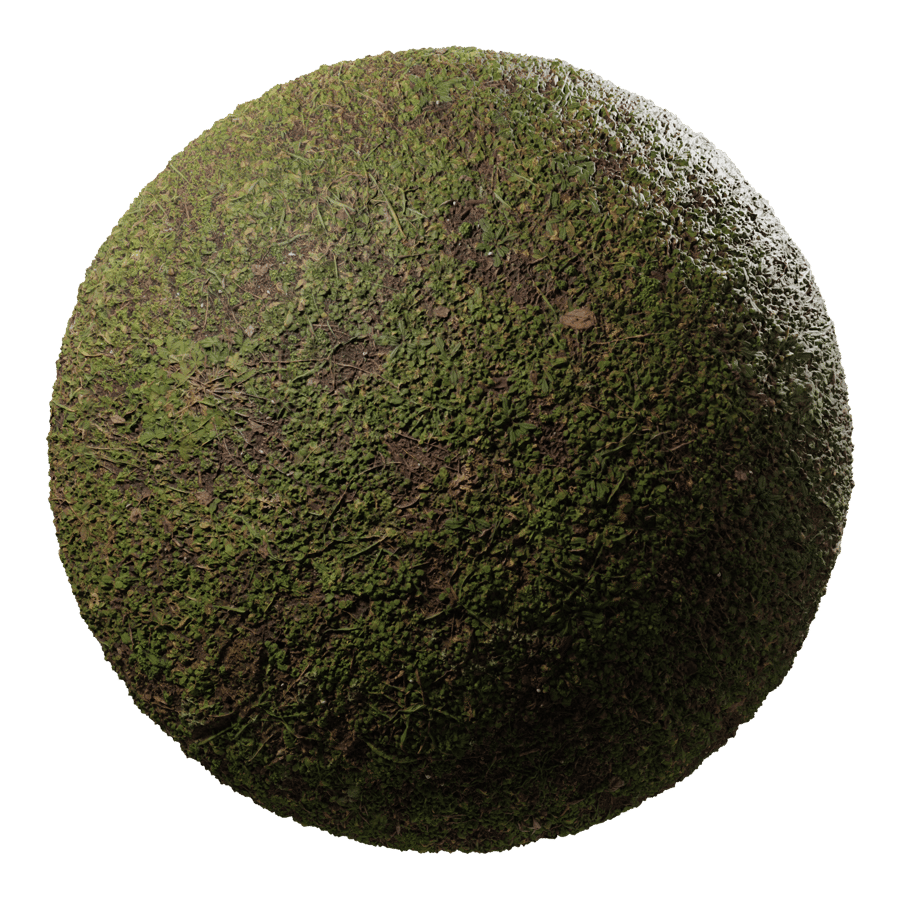 Lush Forest Texture
