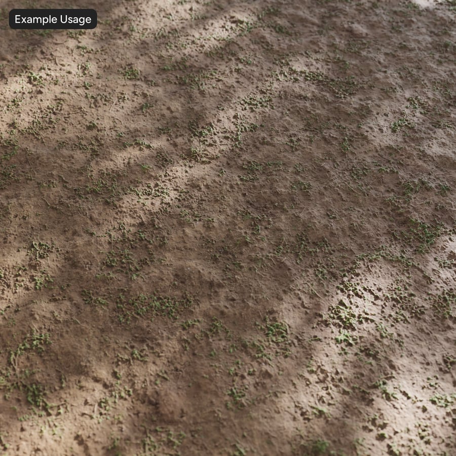 Sparse Weeds on Dirt Texture