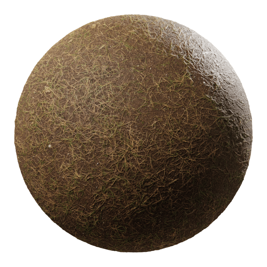 Sparse Grass Texture