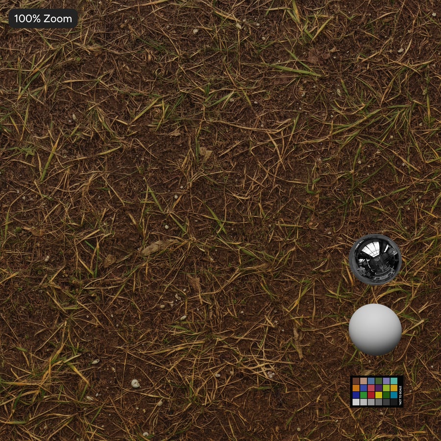 Sparse Grass Texture