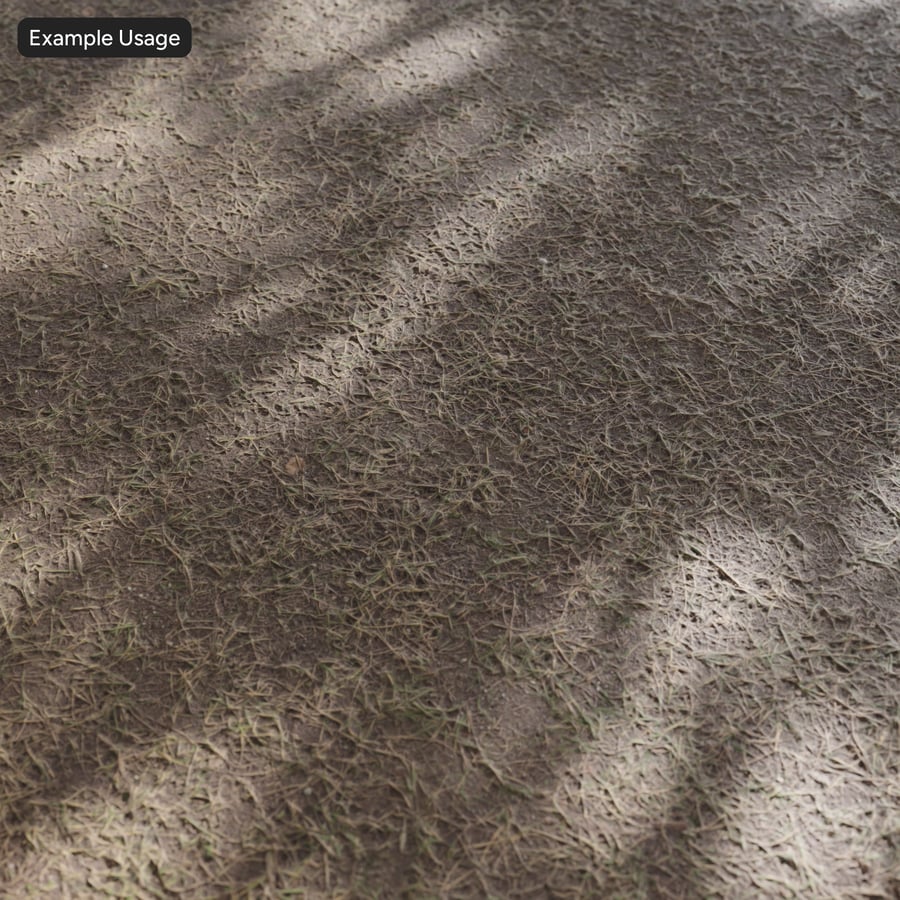 Sparse Grass Texture