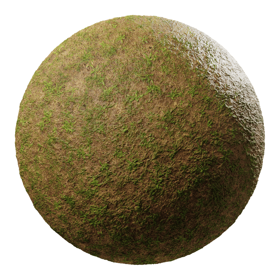 Patchy Weedy Grass Texture