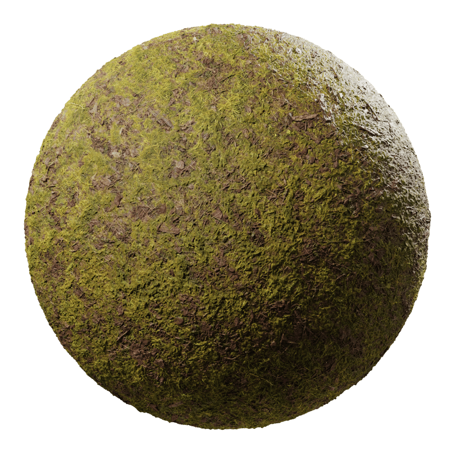 Patchy Grass Texture