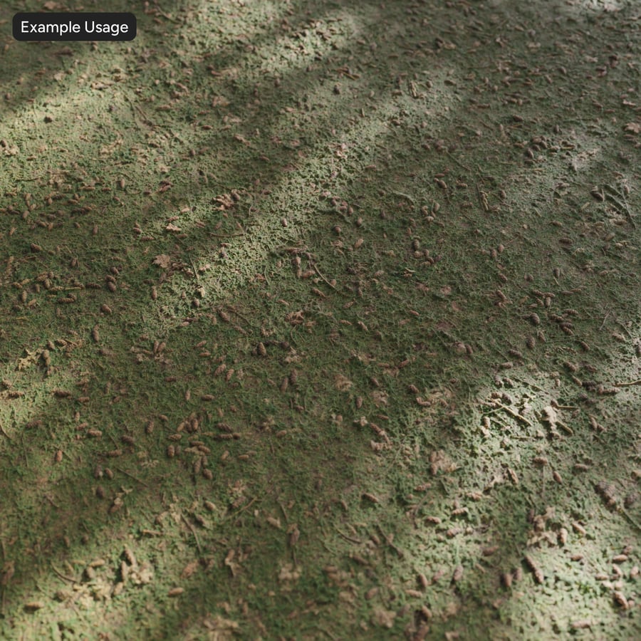 Pine Cones on Grass Texture