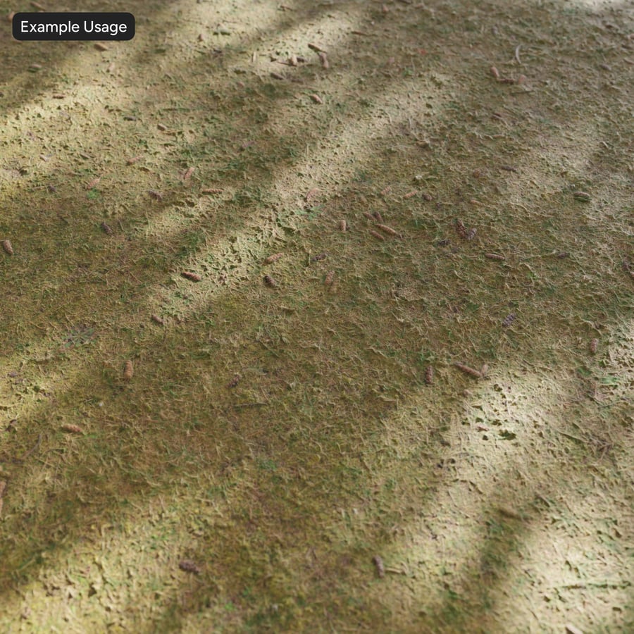 Pine Cones and Grass Texture