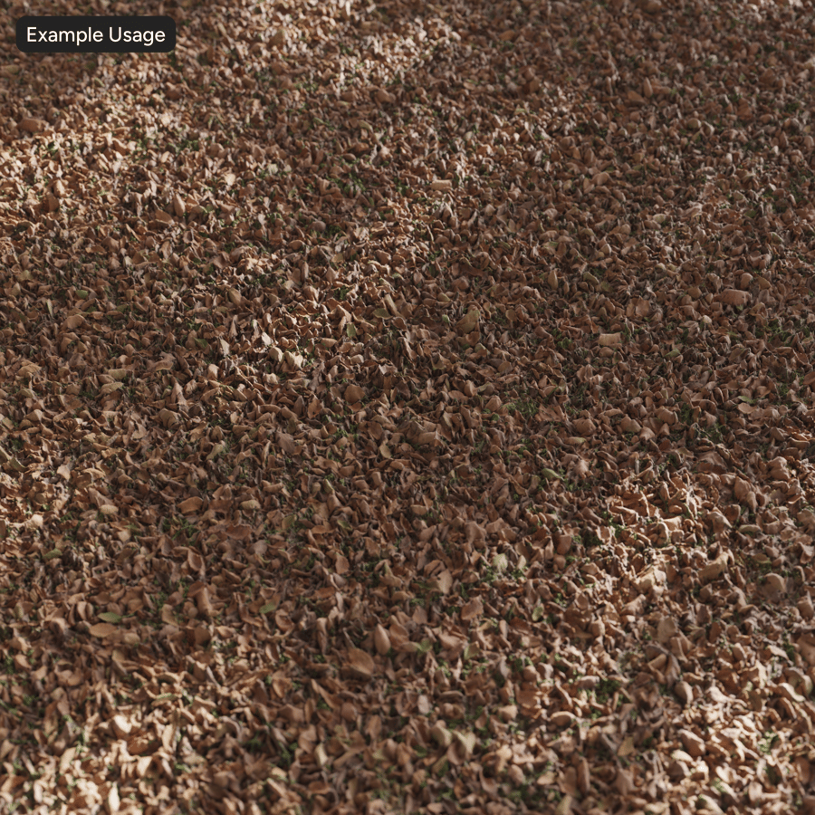 Getrocknete Ulmenblätter Textur