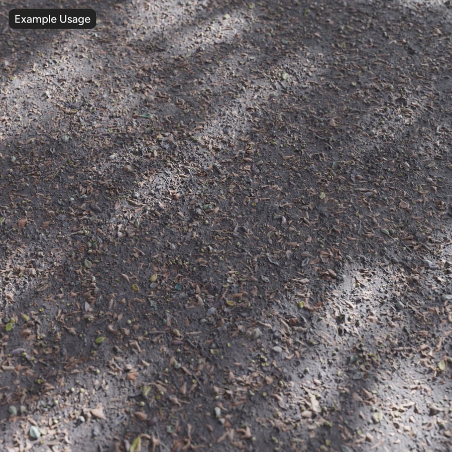 Mud and Leaves Texture