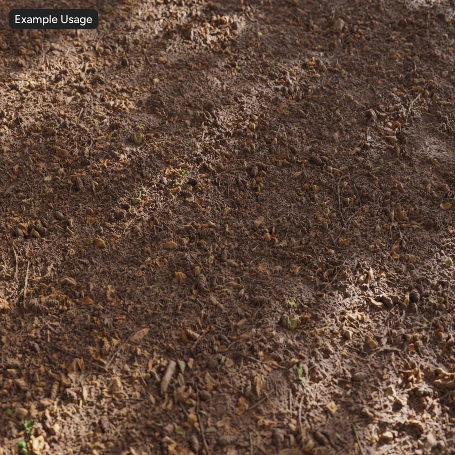 Blättriger Schmutz Wald Textur
