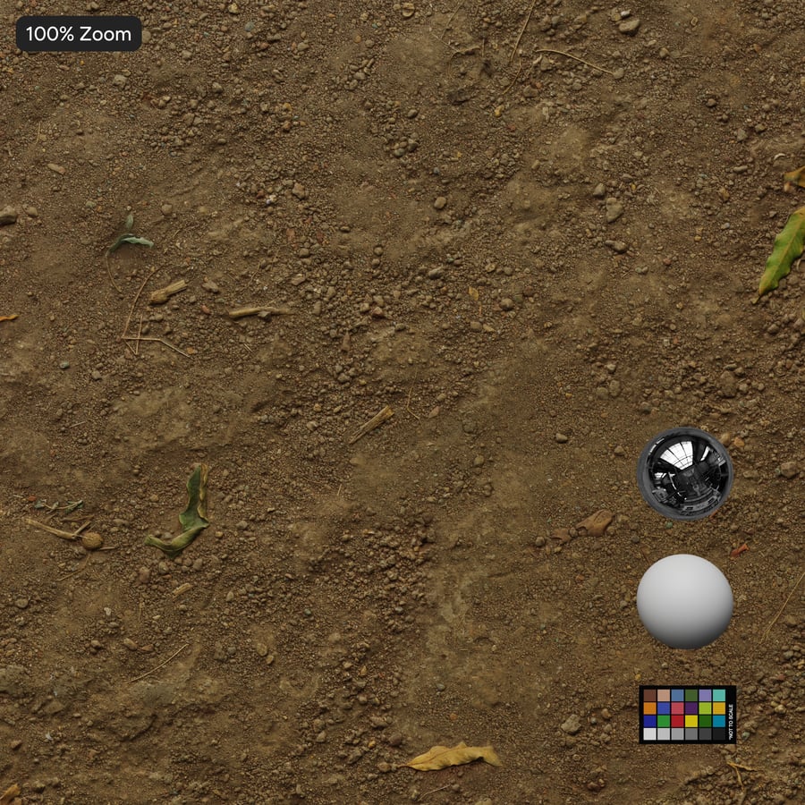 Kuru Kir Orman Dokusu, Bej