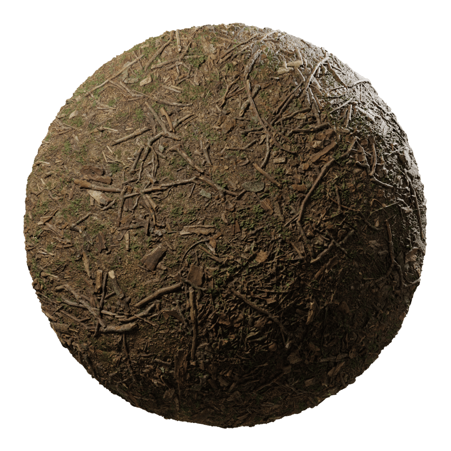 Stick Debris on Forest Texture