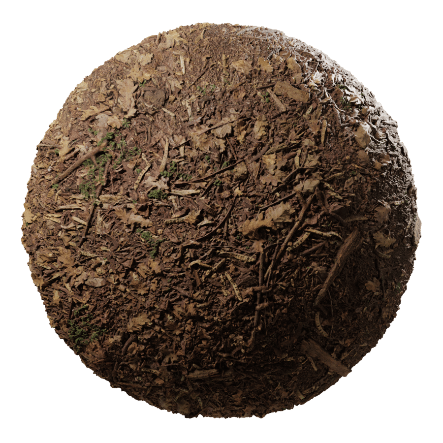 Leaf Debris on Forest Texture