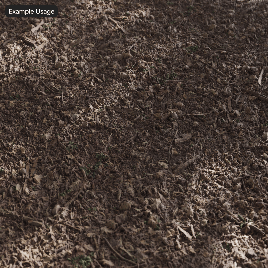 Leaf Debris on Forest Texture
