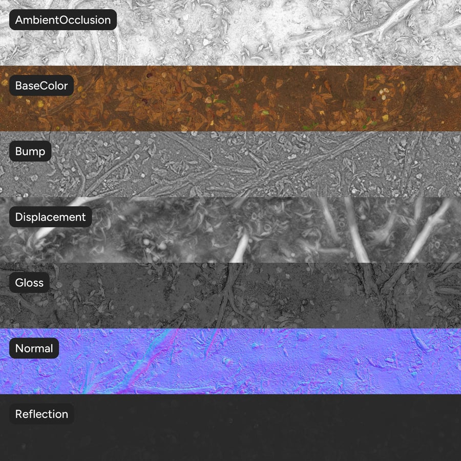 Textura kořenů a listů lesa