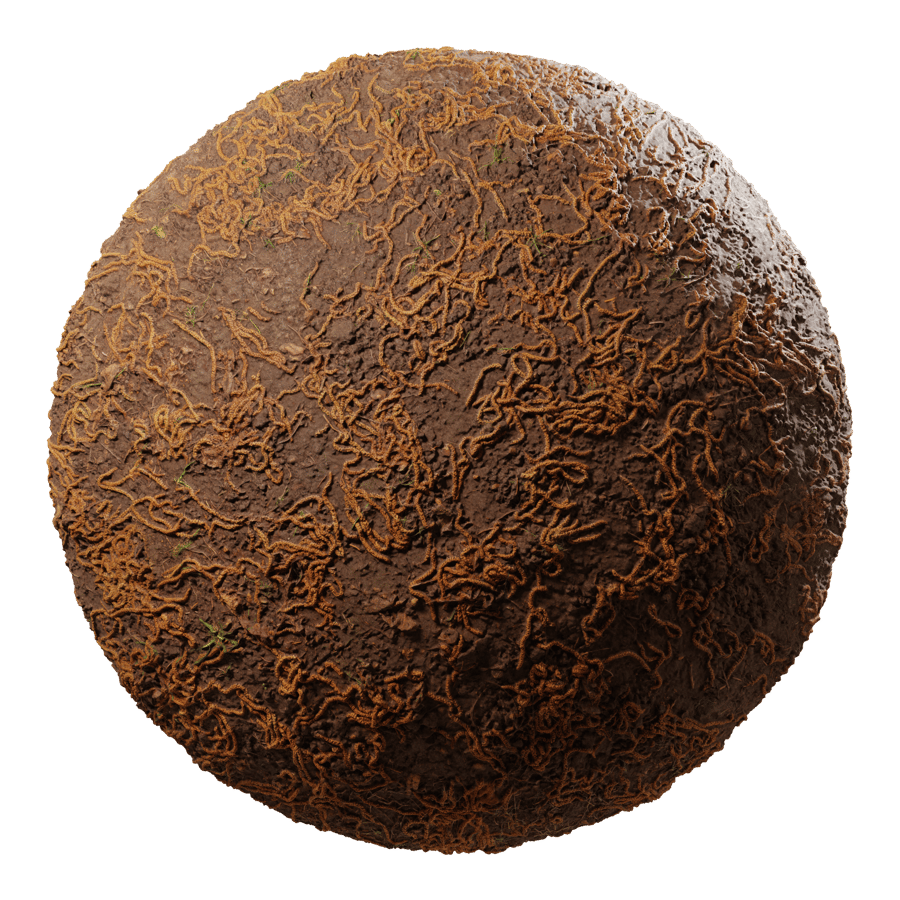 Forest Seeds on Dirt Texture