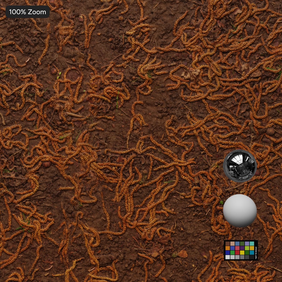 Forest Seeds on Dirt Texture