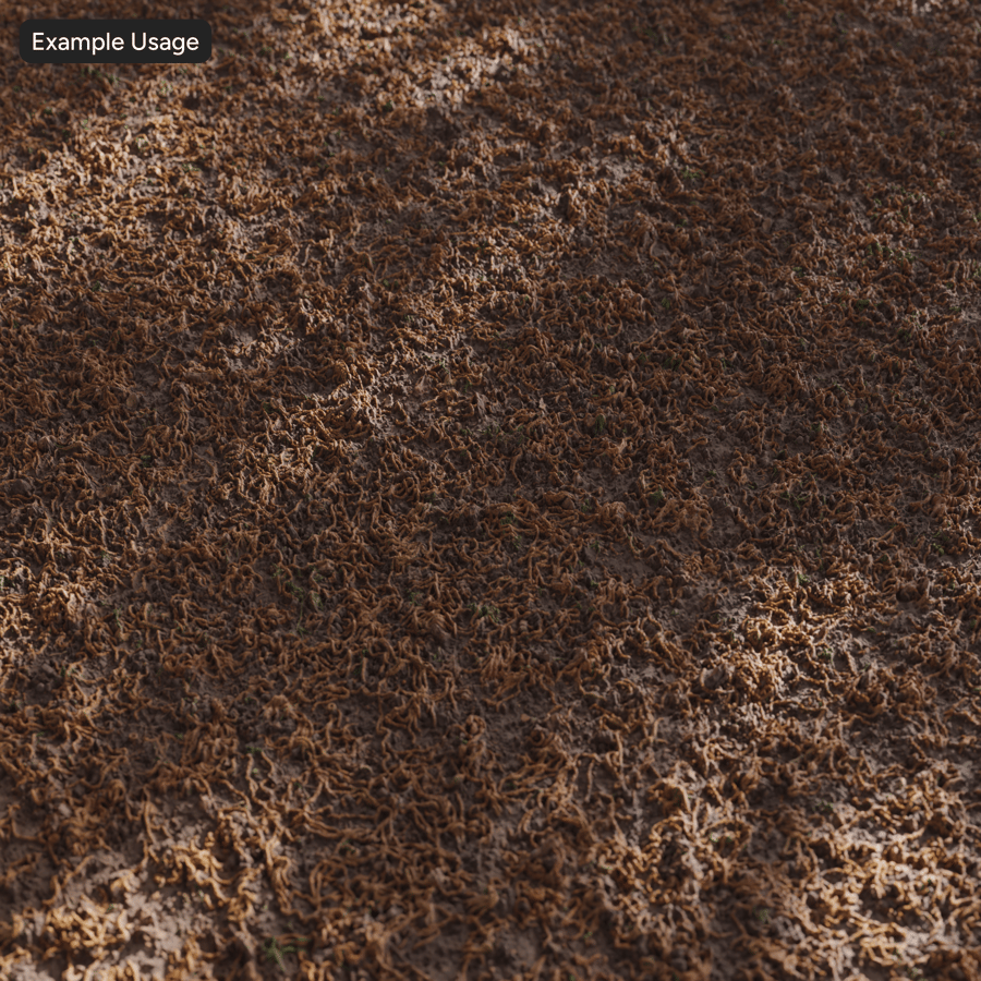 Forest Seeds on Dirt Texture