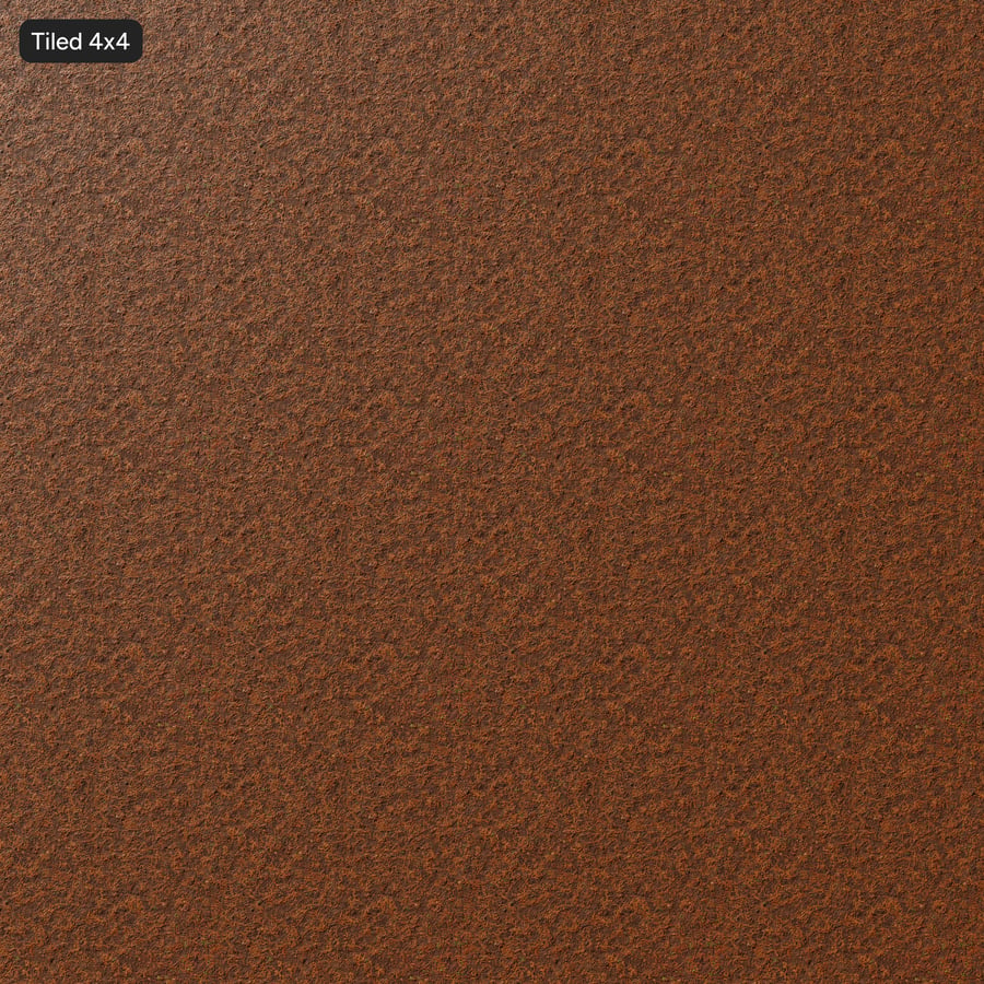 Forest Seeds on Dirt Texture