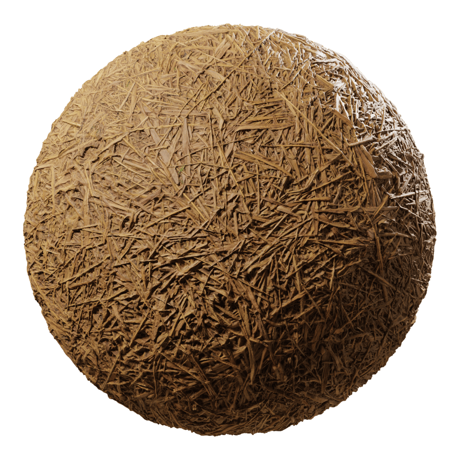 Dried Reeds Texture