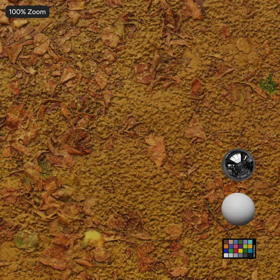 Scattered Leaves on Dry Grass Texture