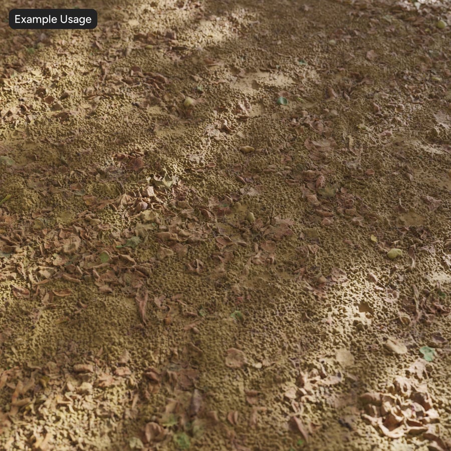 Scattered Leaves on Dry Grass Texture