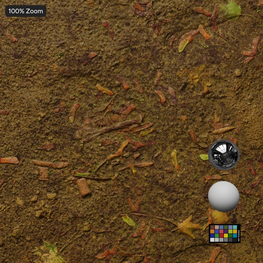 Texture du paillis sur la terre
