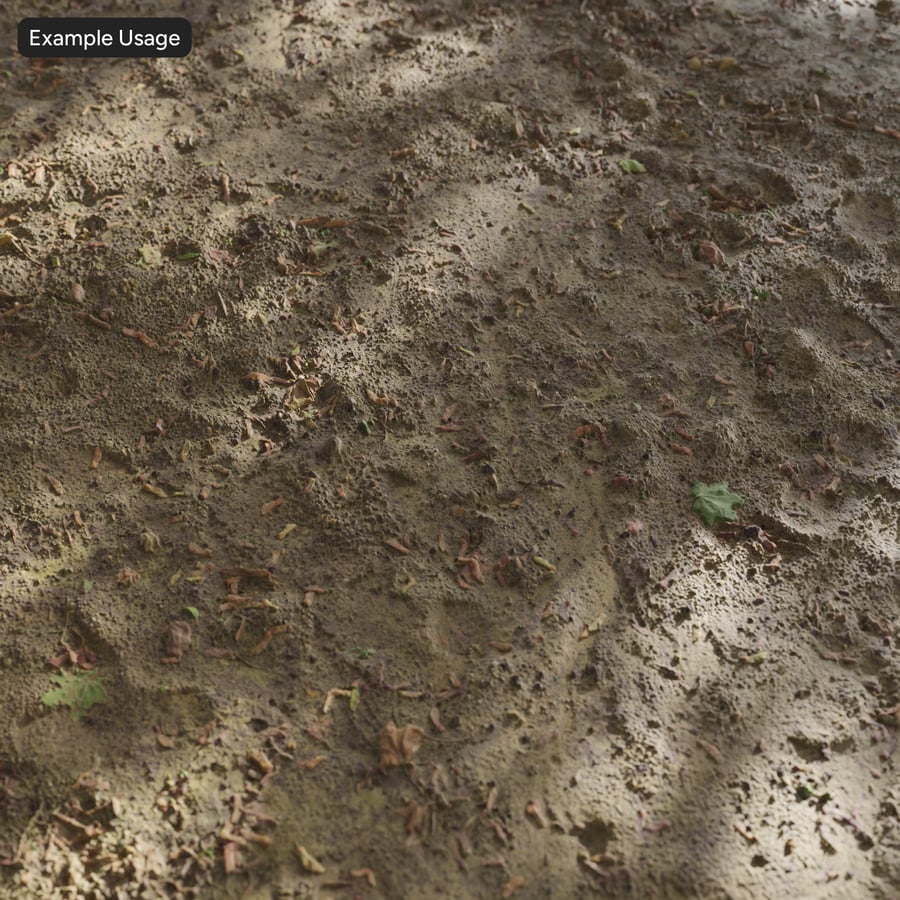 Texture du paillis sur la terre