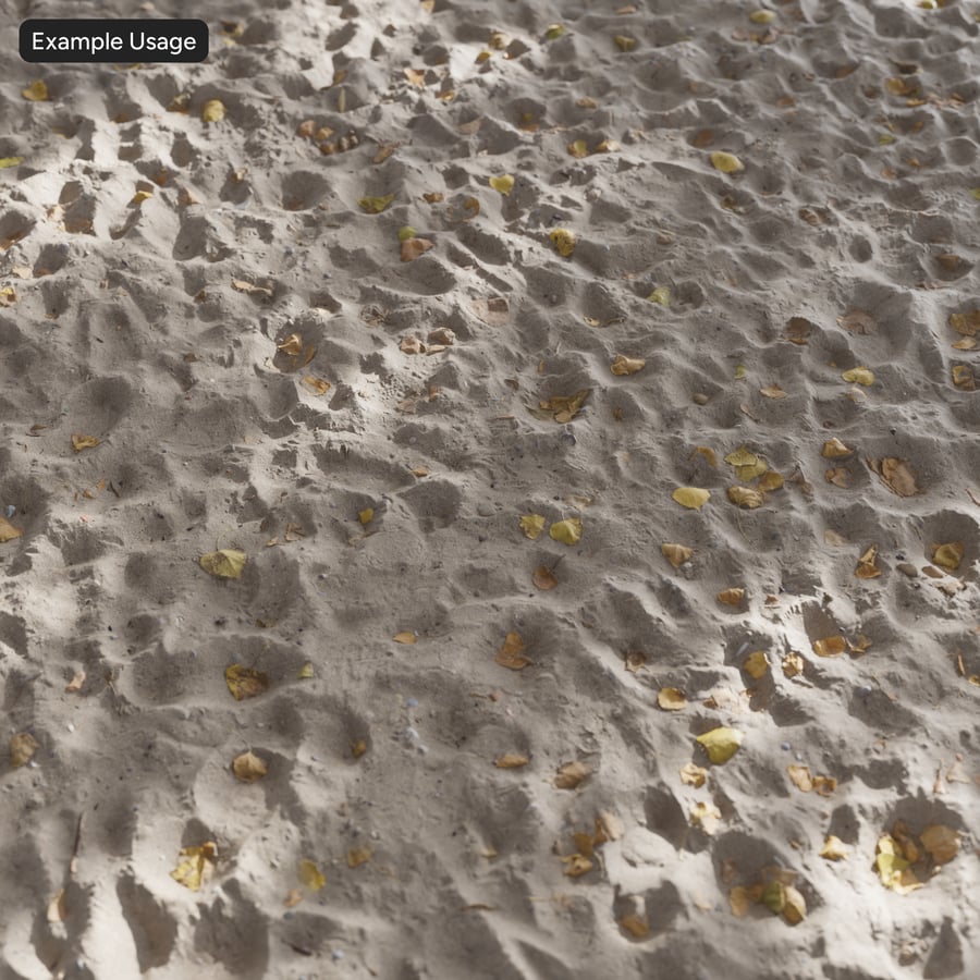 Footprints and Leaves on Sand Texture
