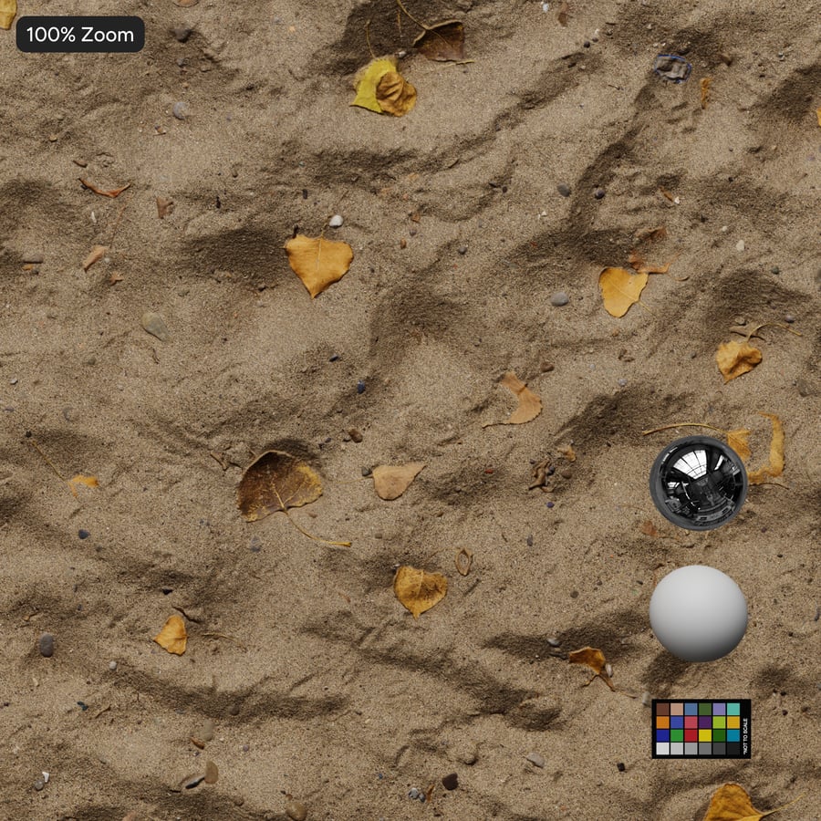 Footprints and Leaves on Sand Texture