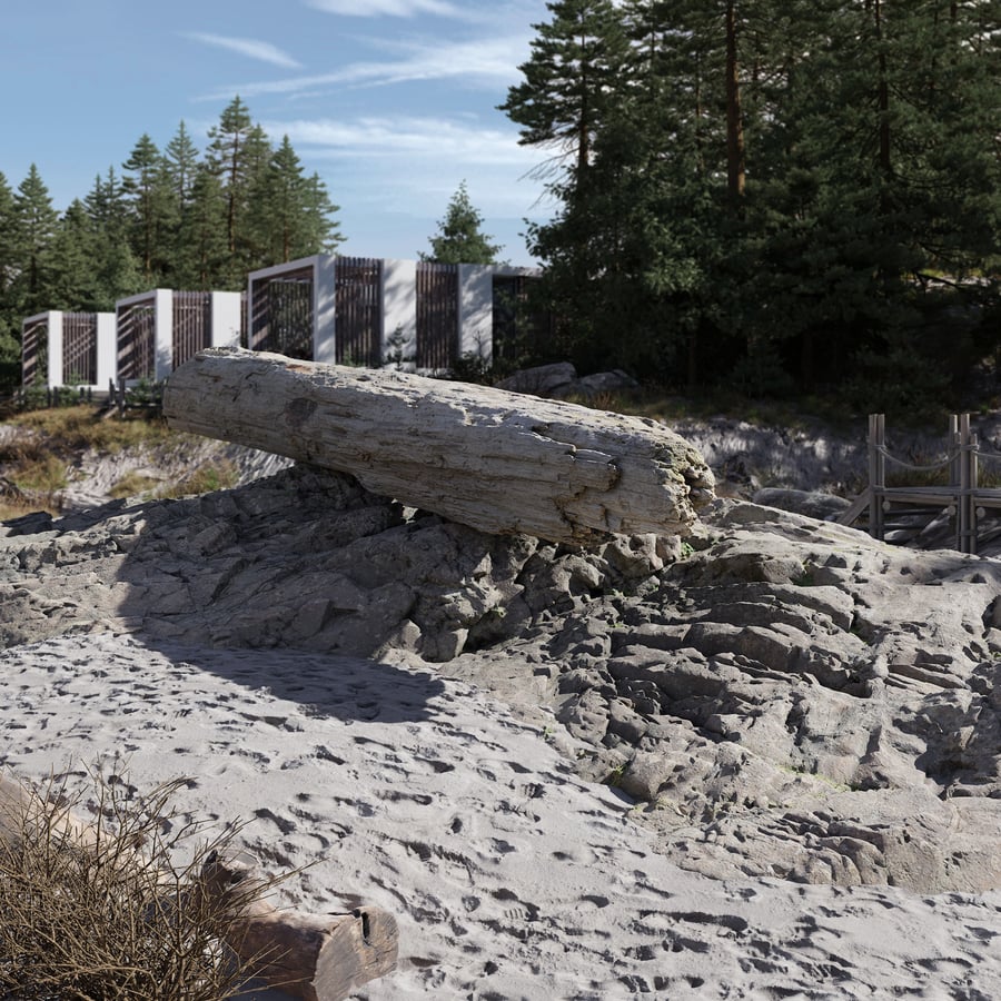 Giant Log Beach Rock modell