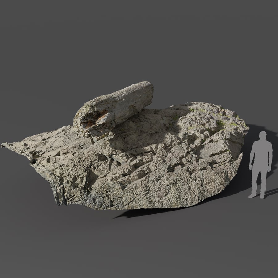 Giant Log Beach Rock modell