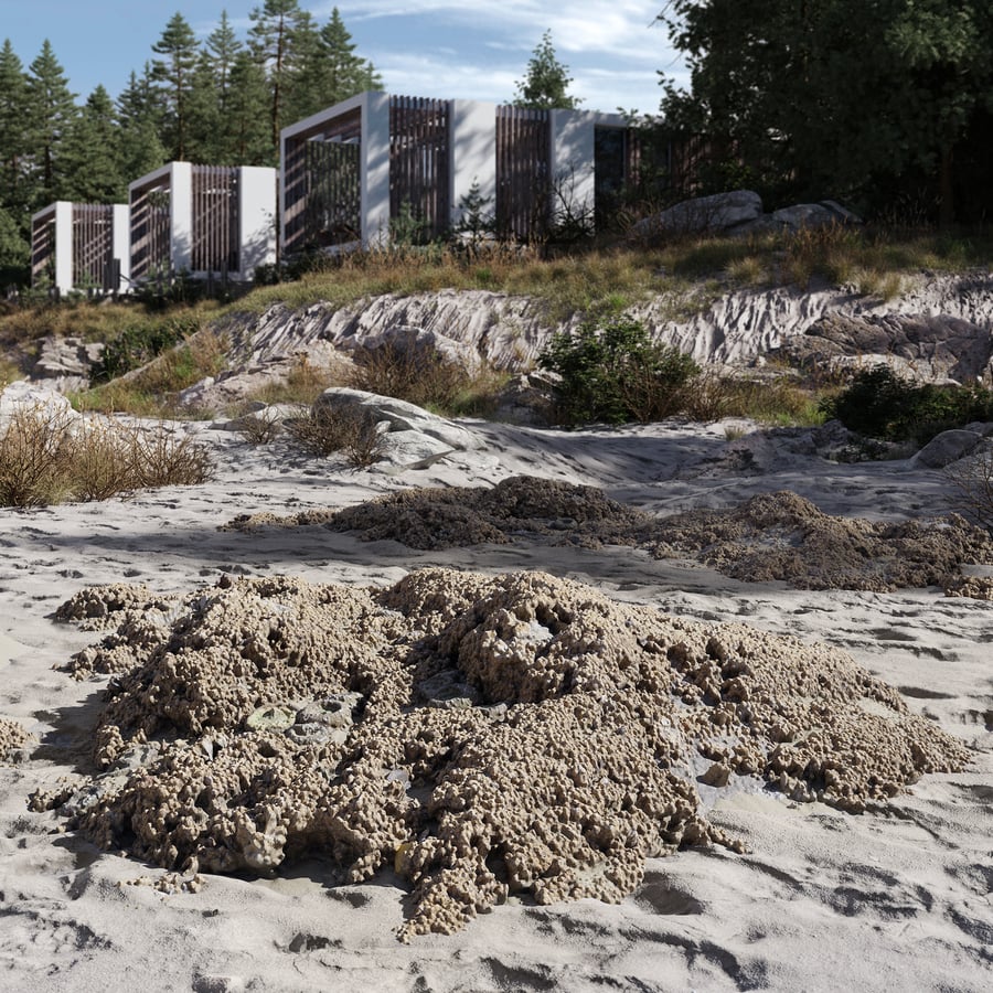 Közepes Barnacle fedett tengerparti szikla modell