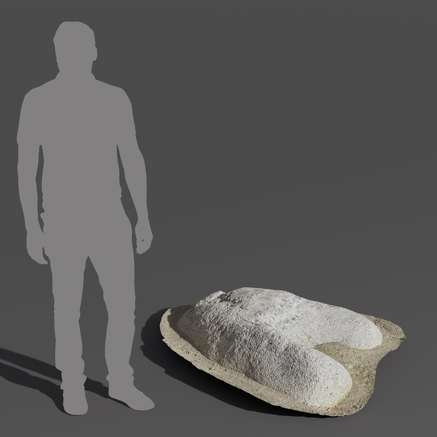Kleines glattes Hufeisen Strand Felsen Modell