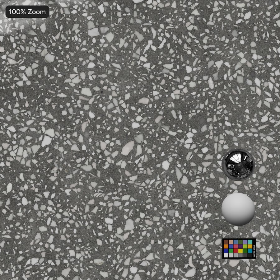 Polished Slab Venetian Terrazzo Texture, Gray