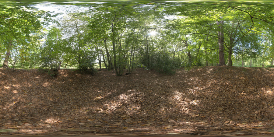 Epping Ormanı Bulutlu Gün Dış Mekan HDRI