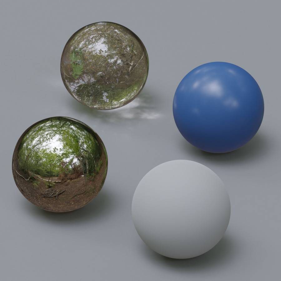 Похмурий день у лісі Епінг Похмурий день на відкритому повітрі HDRI