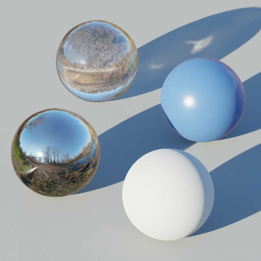 HDRI de trilho florestal perto de um lago num dia limpo de inverno