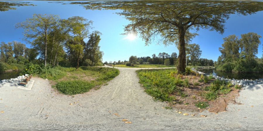 HDRI đường mòn trong rừng công viên ngày nắng