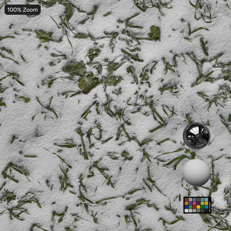 Textura de neve na grama