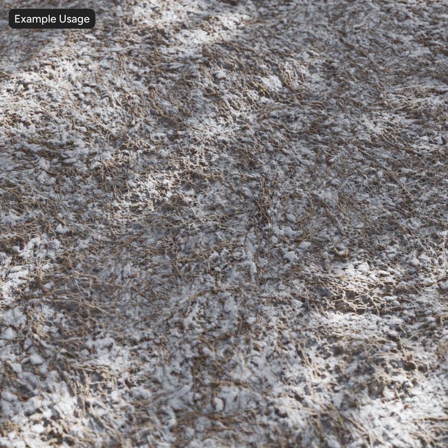 Dried Grass on Patchy Snow Texture