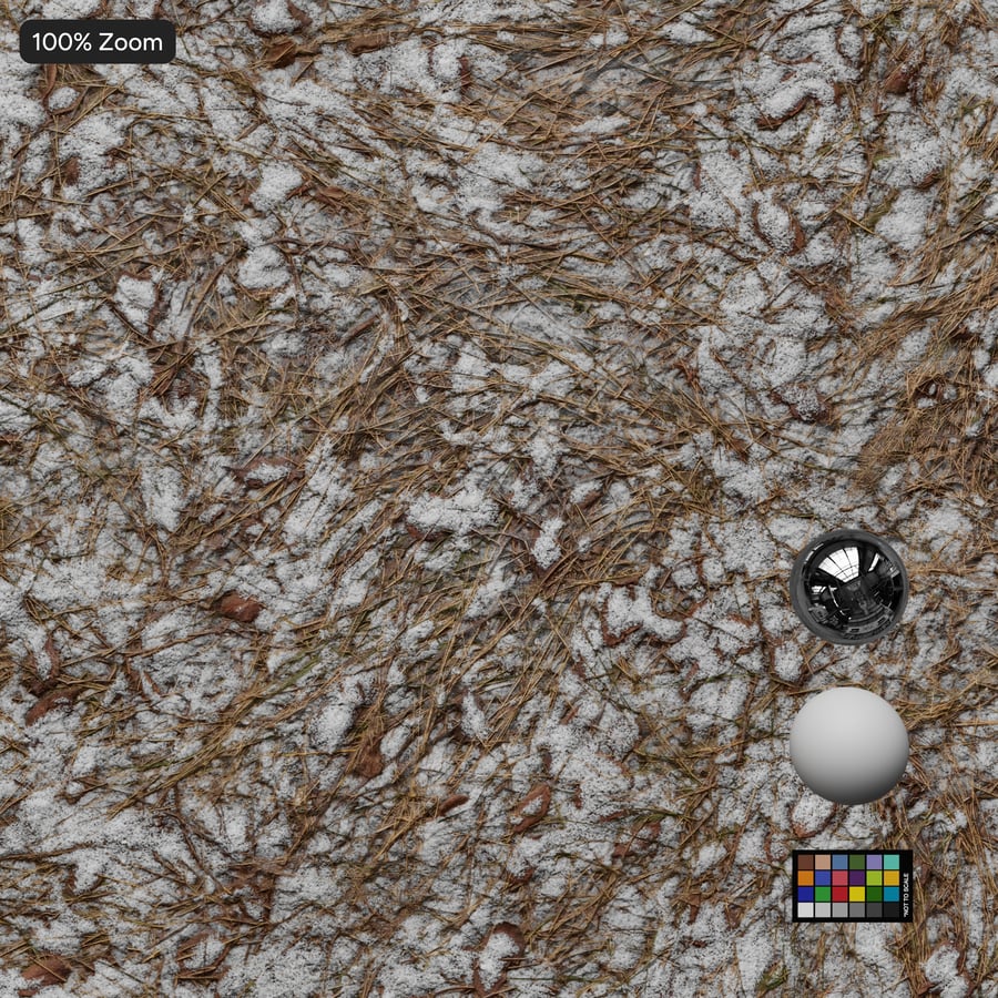 Dried Grass on Patchy Snow Texture