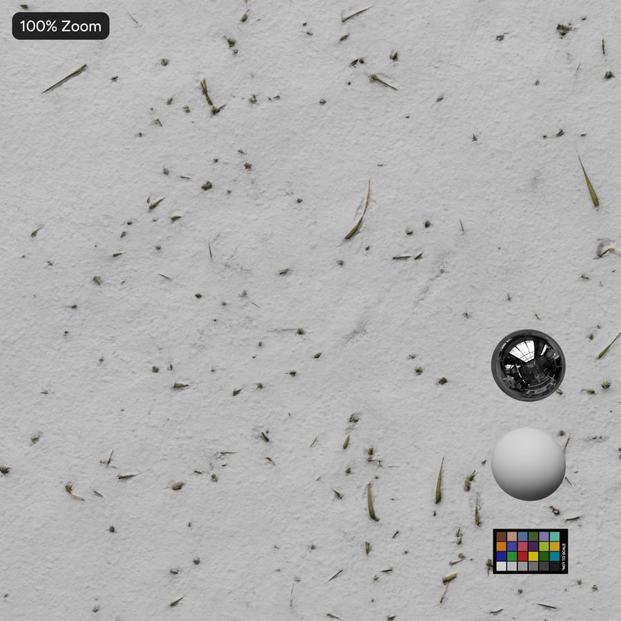 Scattered Grass on Snow Texture