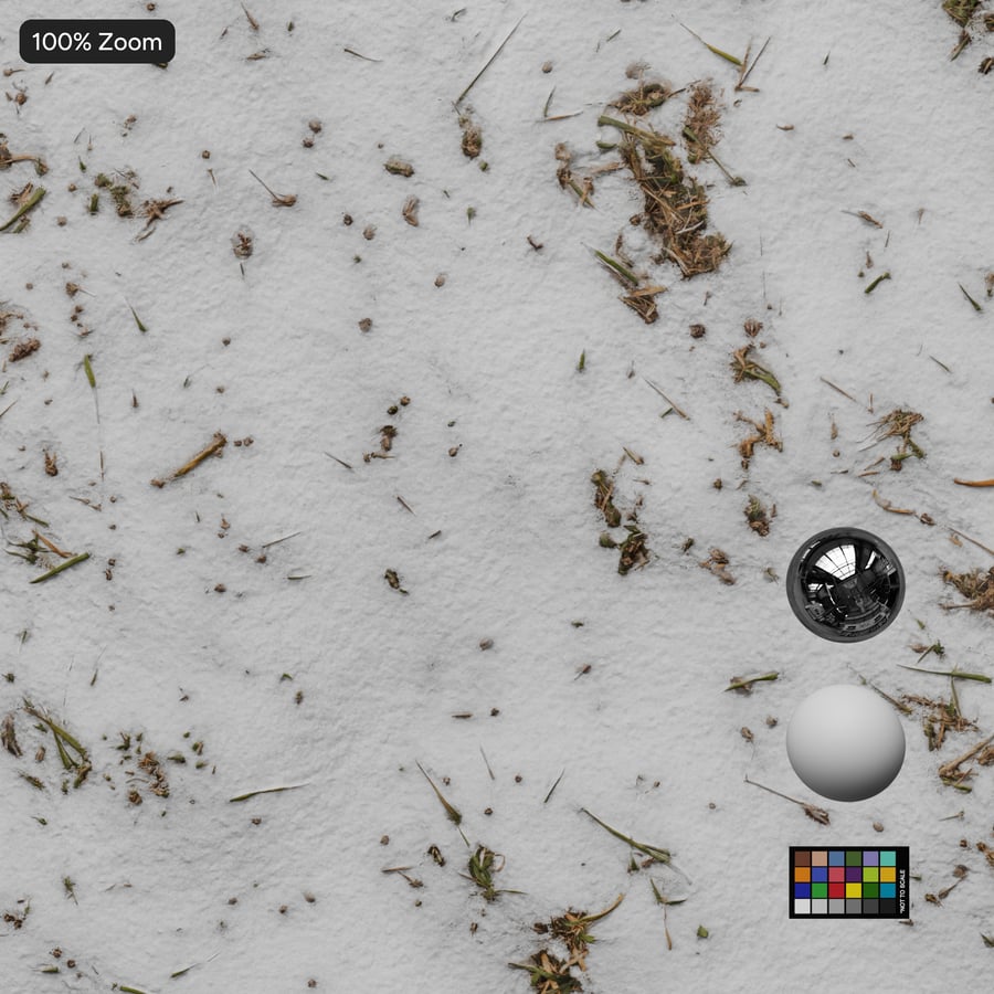 Tallbarr på snö Textur