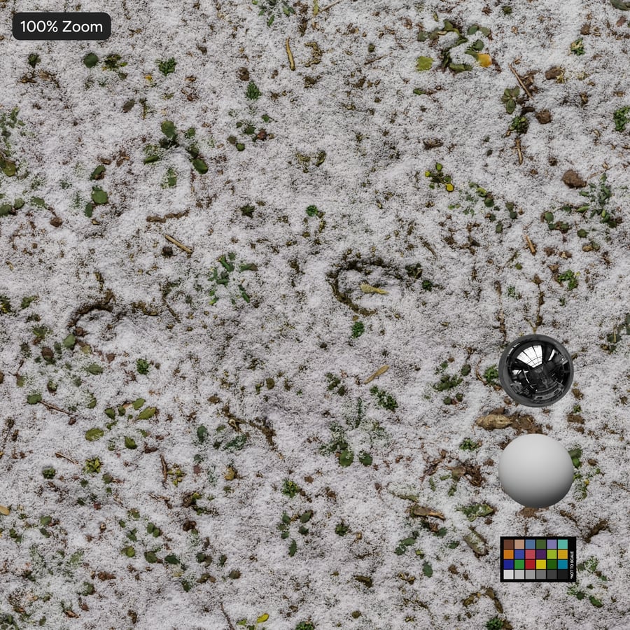 Snö på gräs Textur